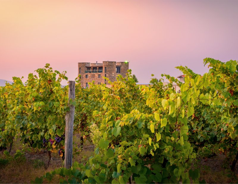 Bulgarischer Wein-Rotwein, Weißwein und Rosewein – Bulgarian Treasures